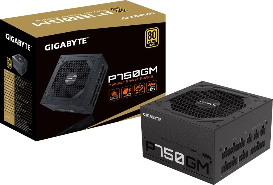 Gigabyte P-Series 2020 450 Вт 24+8 (4+4) pin 80+ Bronze