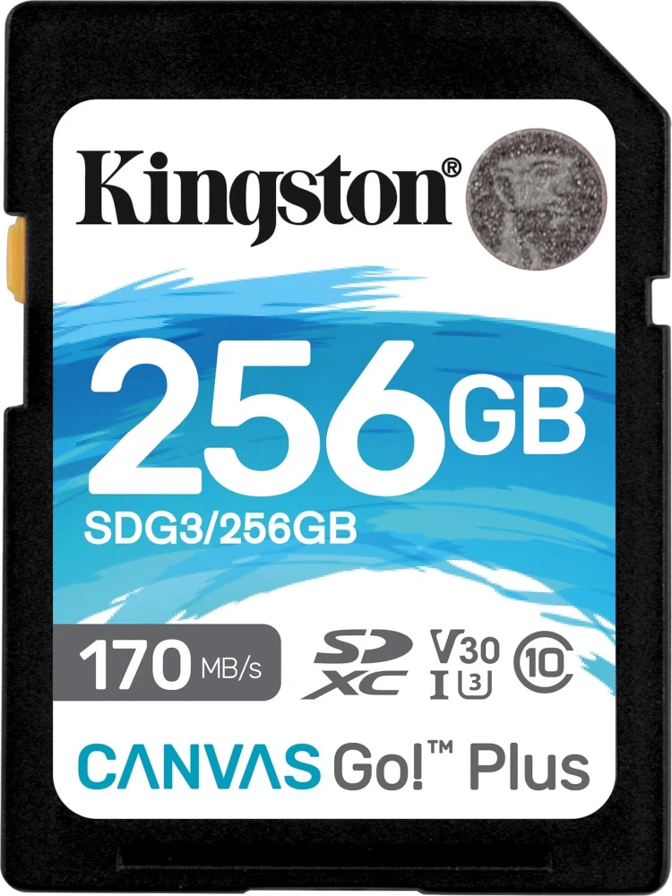 Kingston SDXC Canvas Go! Plus 256 ГБ