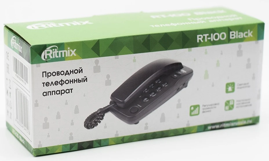 Ritmix RT-100
